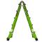 Little Giant Dark Horse 2.0 Type 1A Ladder